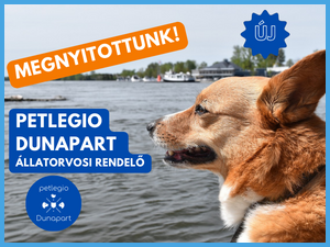 Petlegio Dunapart Állatorvosi Rendelő